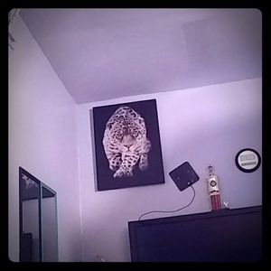 Cuadro para colgar en pared